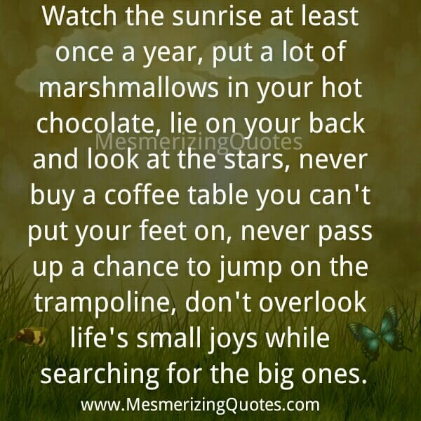 Don't overlook life's small joys while searching for the big ones