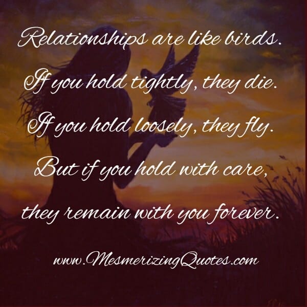 Relationships are like Birds