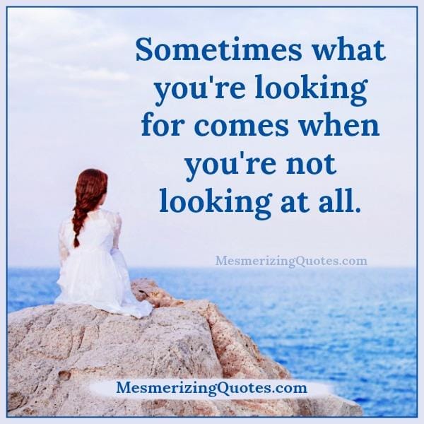 Sometimes what you are looking for in life