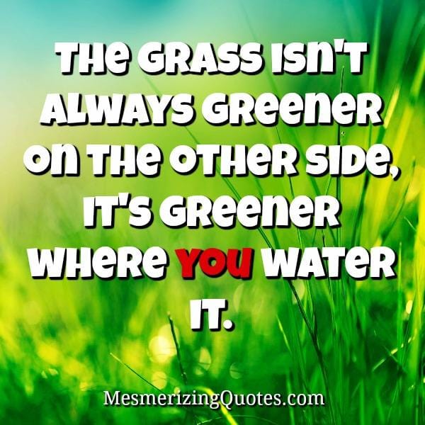 The grass isn't always greener on the other side