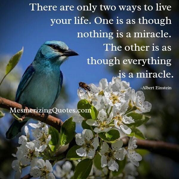 There are only two ways to live your life