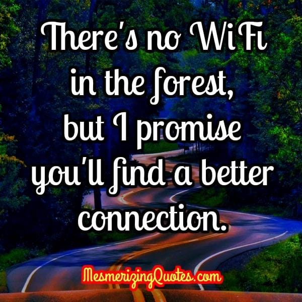 There's no WIFI in the forest
