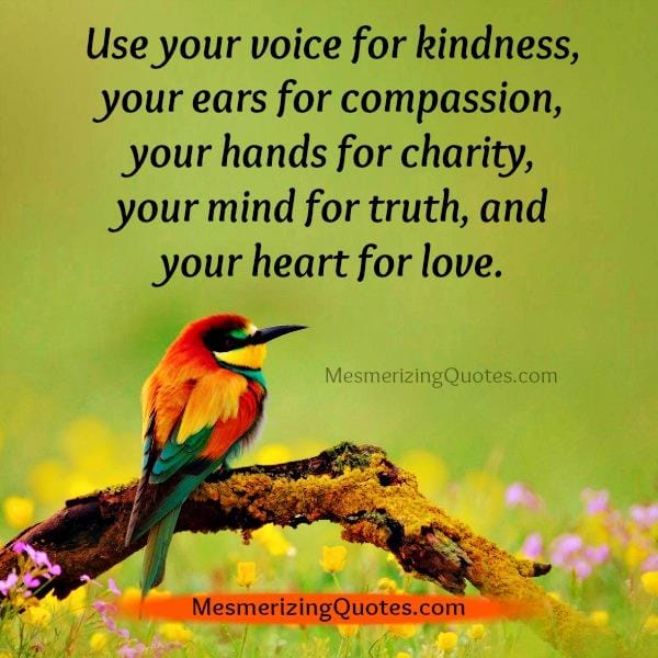 Use your heart for love