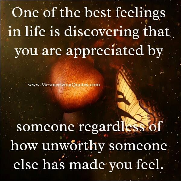 When you are well appreciated by someone