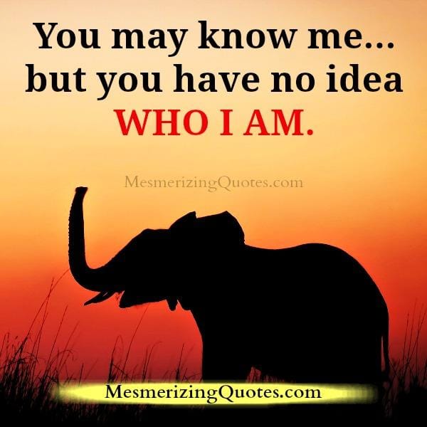 You have no idea about who I am