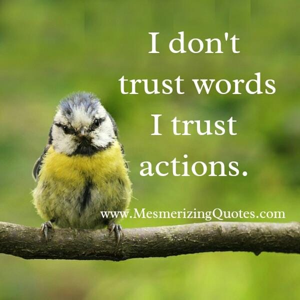 Don't trust words! Trust actions