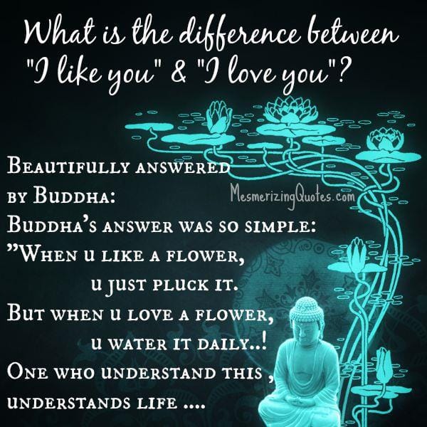 What's the difference between I like you & I love you?